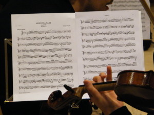 AUT_Violino_2014